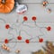 10ct. Orange Jack-O-Lantern LED Mini Halloween Lights
